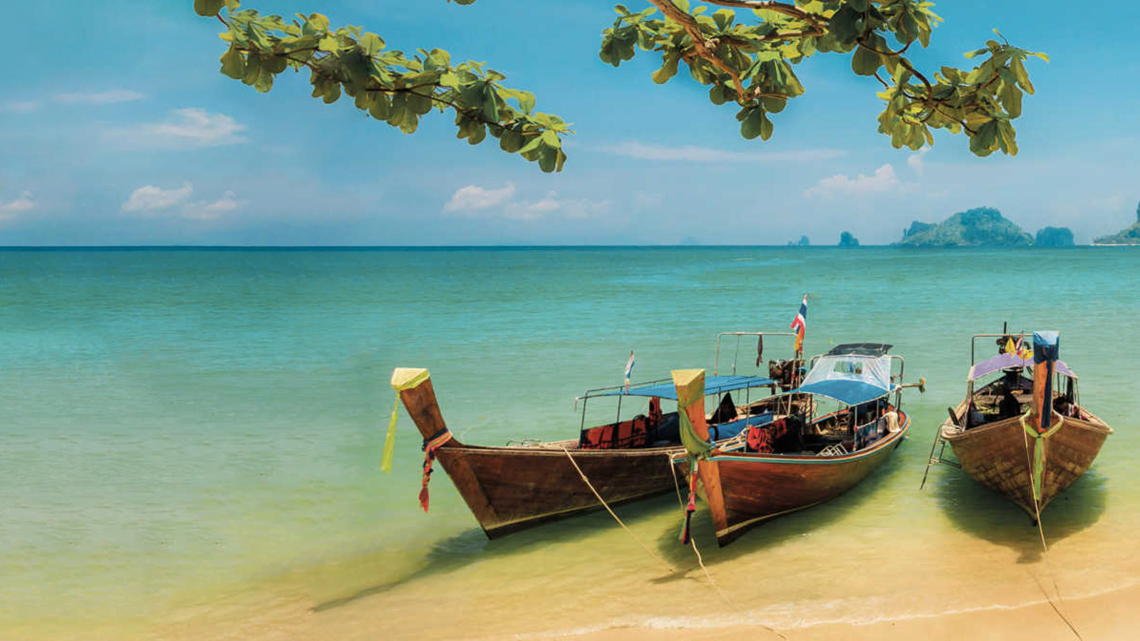 OUT in Thailand!