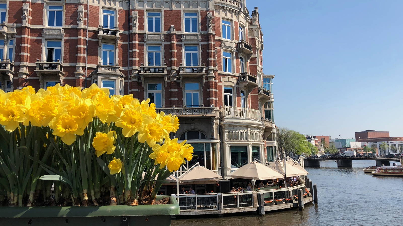 Kelli's Amsterdam Adventure