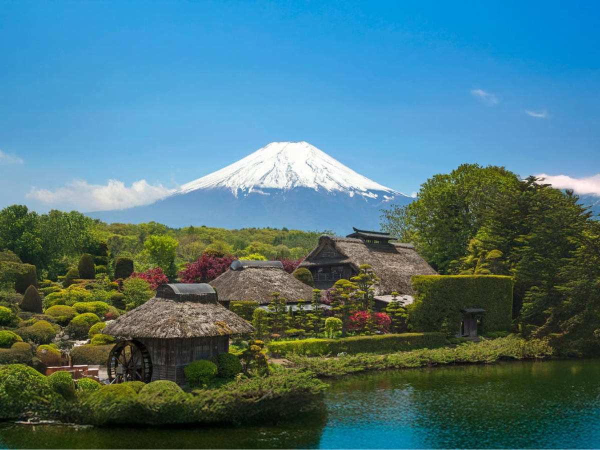 OUT in Japan!