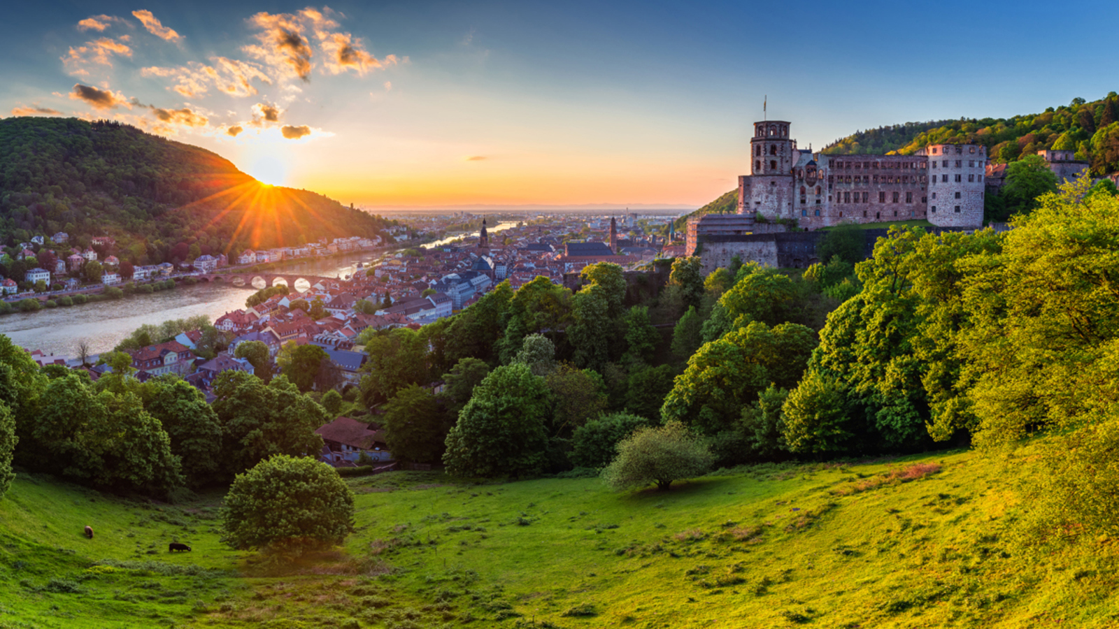 Castles Along the Rhine & Amsterdam