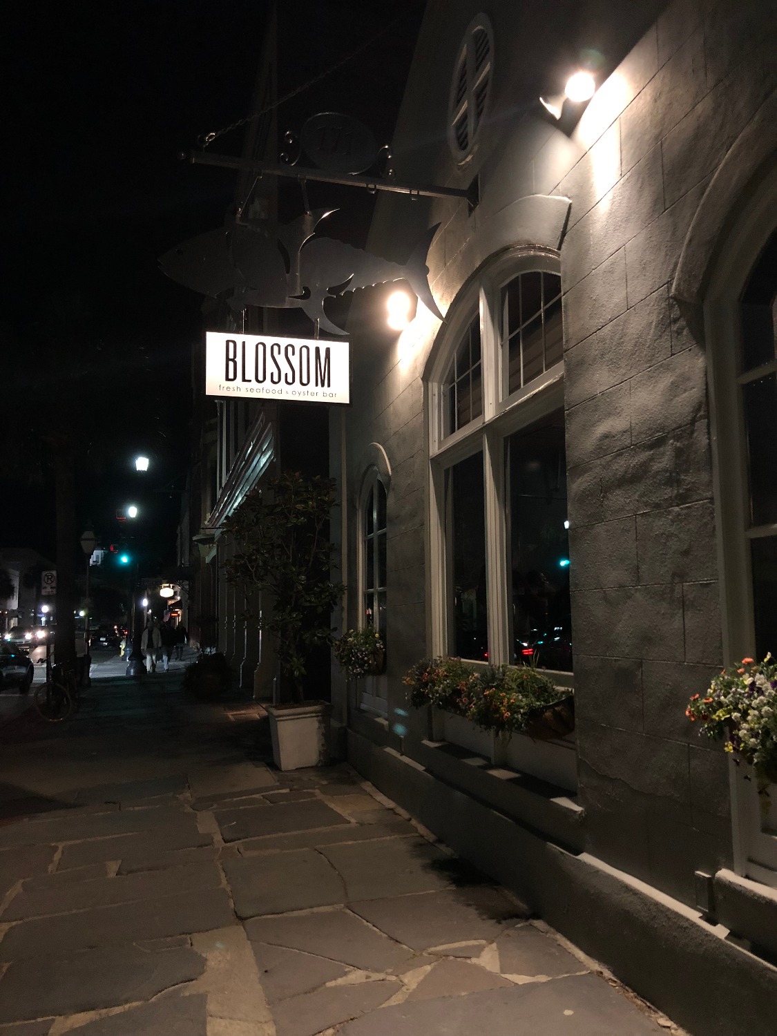 One Night in Charleston